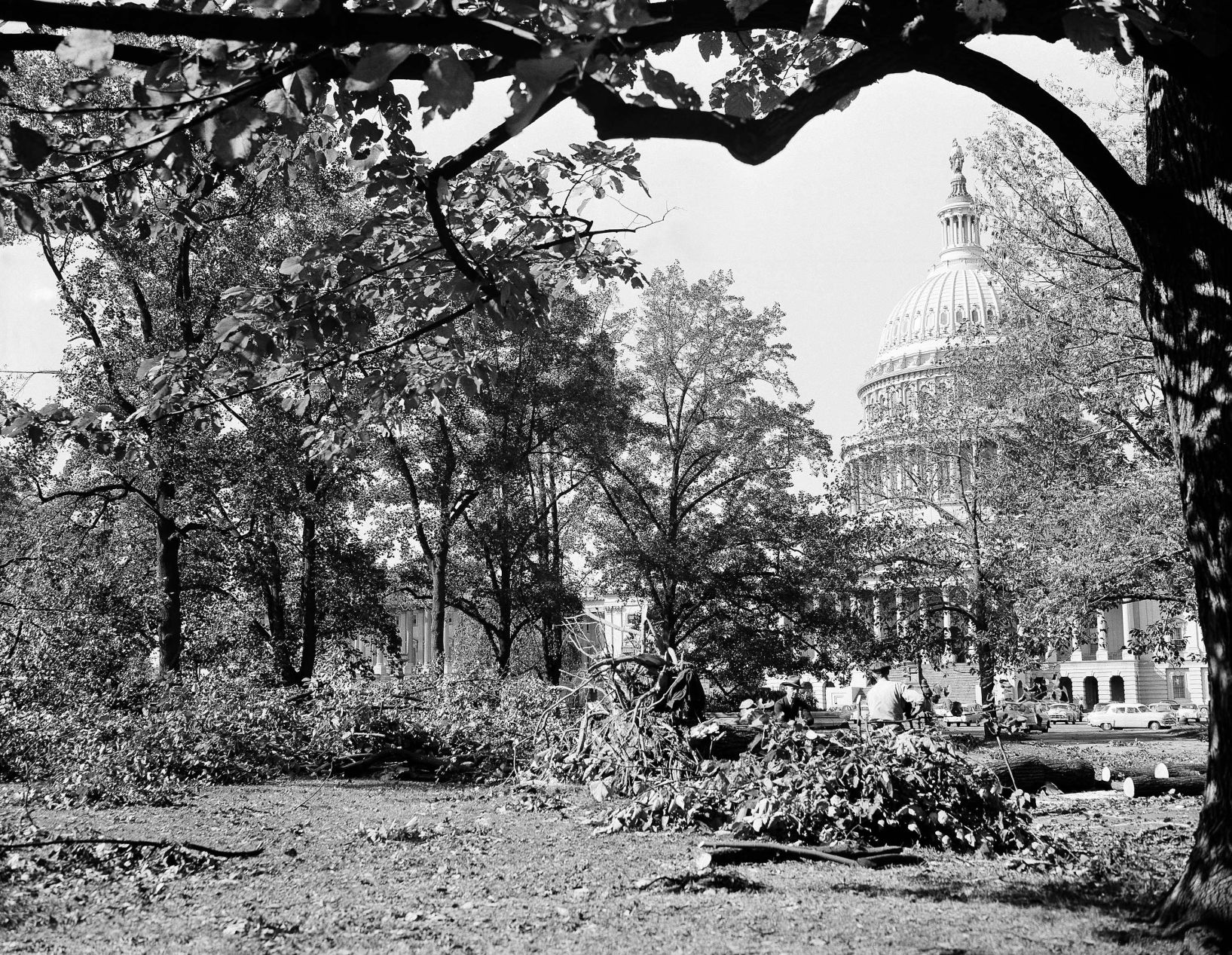 Hurricane Hazel 1954